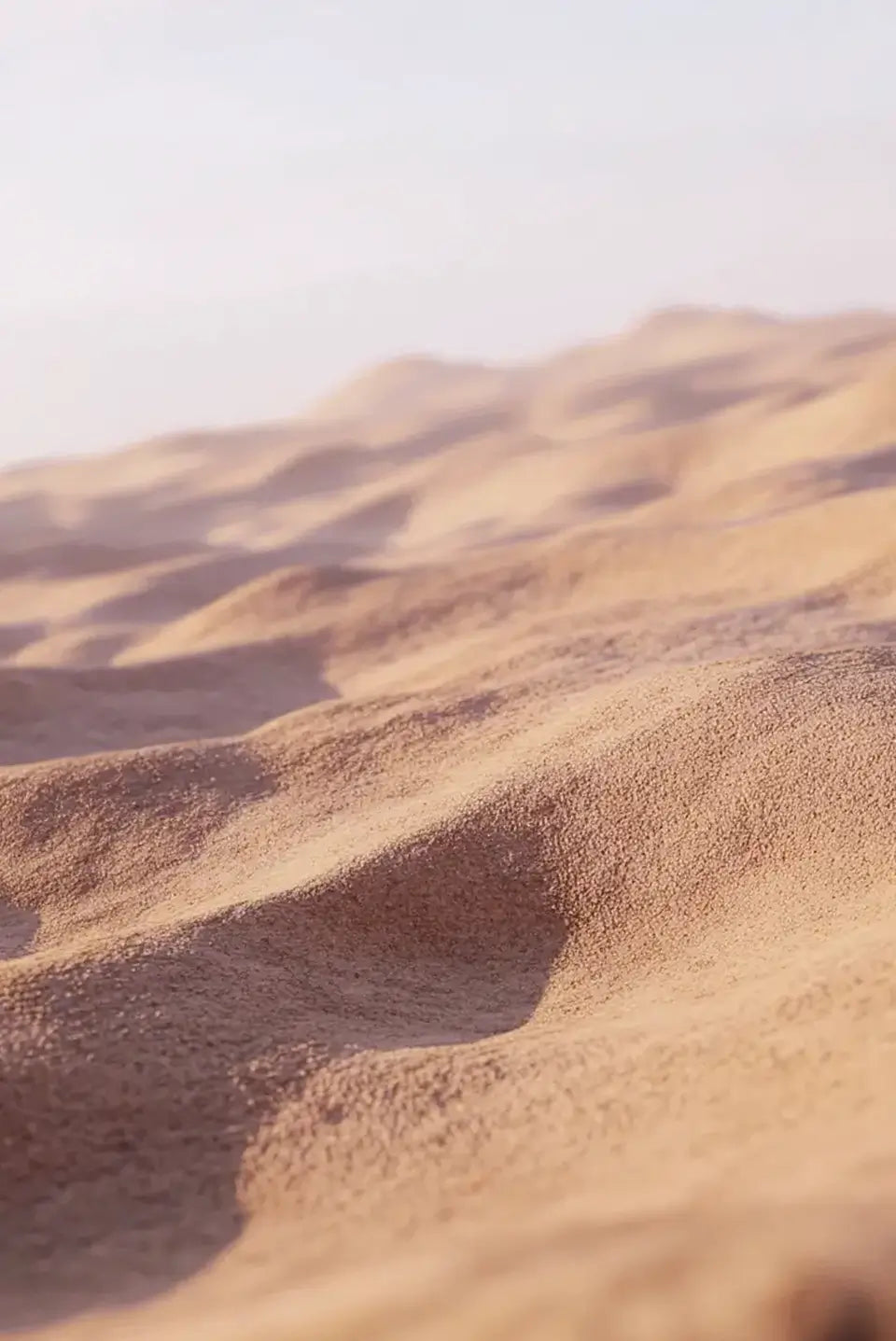 Desert_tan_00fc4ab9-5bb3-4380-a4a7-1f1aab77b002.webp