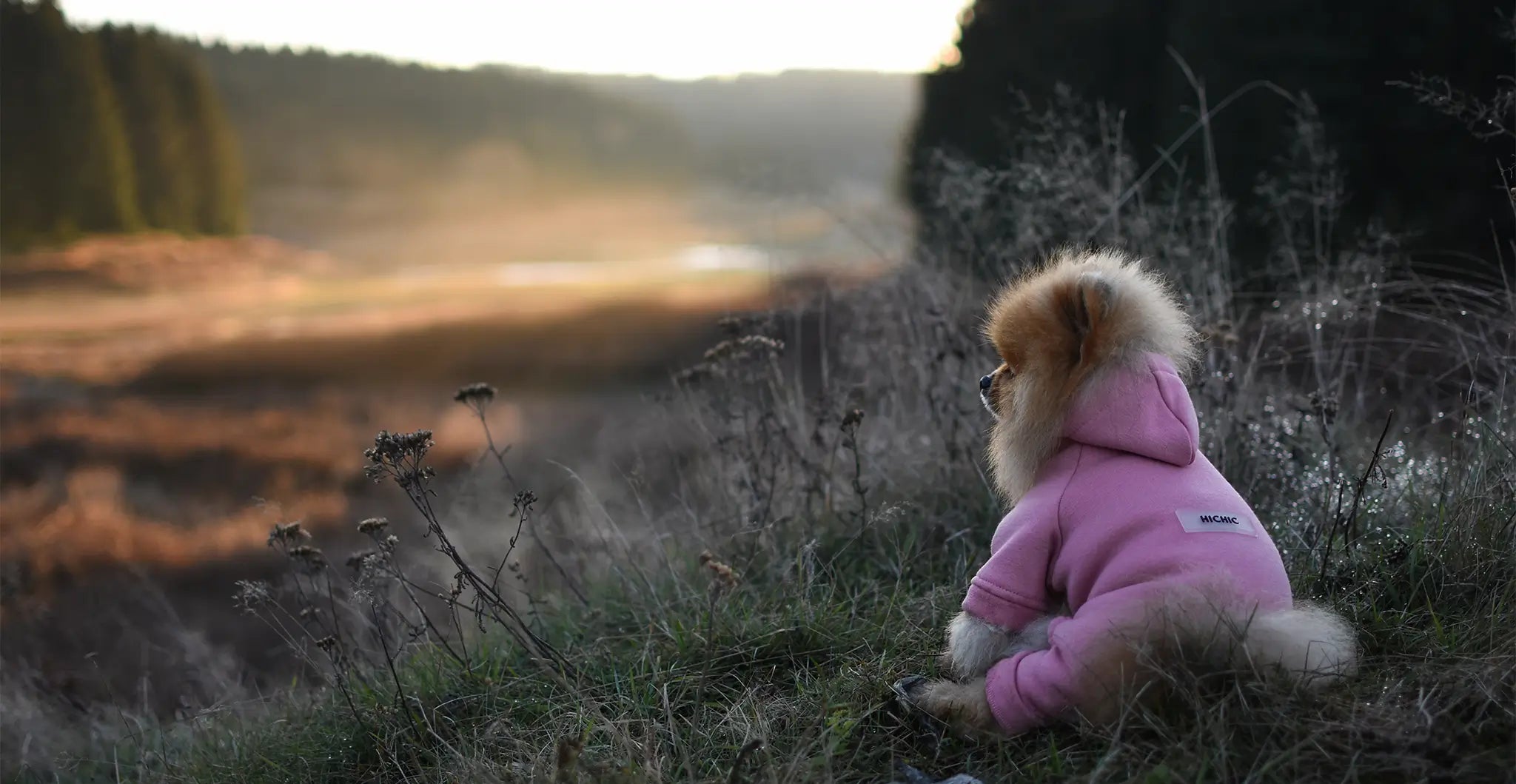 Pepper_Dogverall.webp