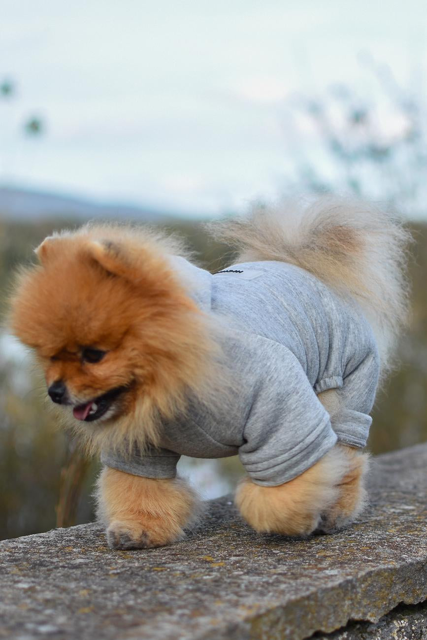 ŠEDÝ ZIMNÍ OBLEČEK PRO PSA HICHIC Hoodie DOGverall