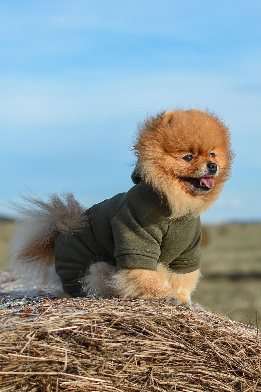 ZATEPLENÝ OBLEČEK PRO PSA KHAKI HICHIC Hoodie DOGverall
