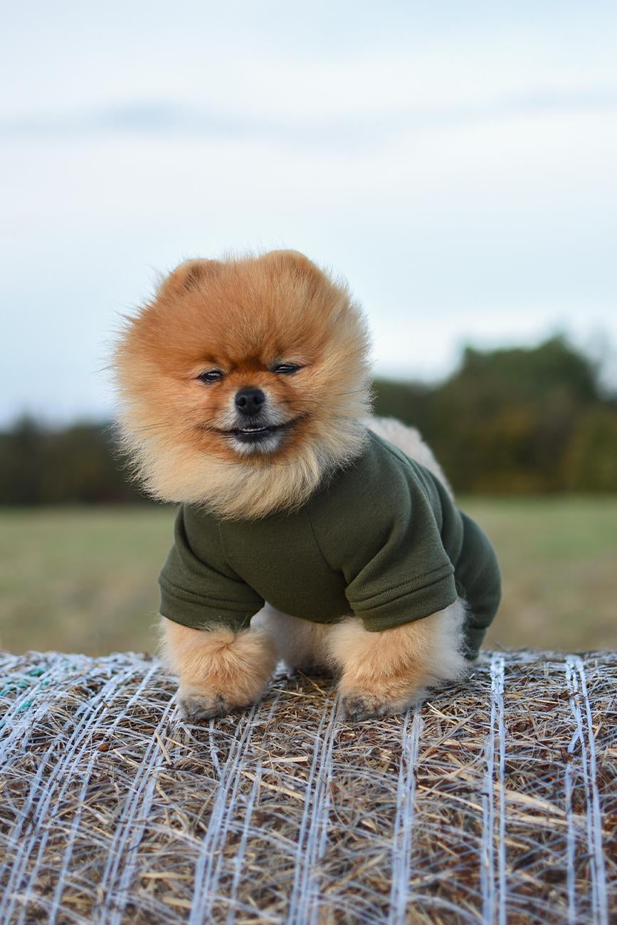 ZATEPLENÝ OBLEČEK PRO PSA KHAKI HICHIC Hoodie DOGverall