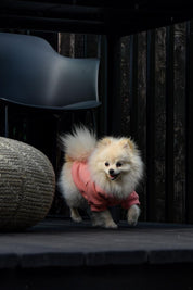 PEACH PINK MIKINA PRO PSA HICHIC Doggie