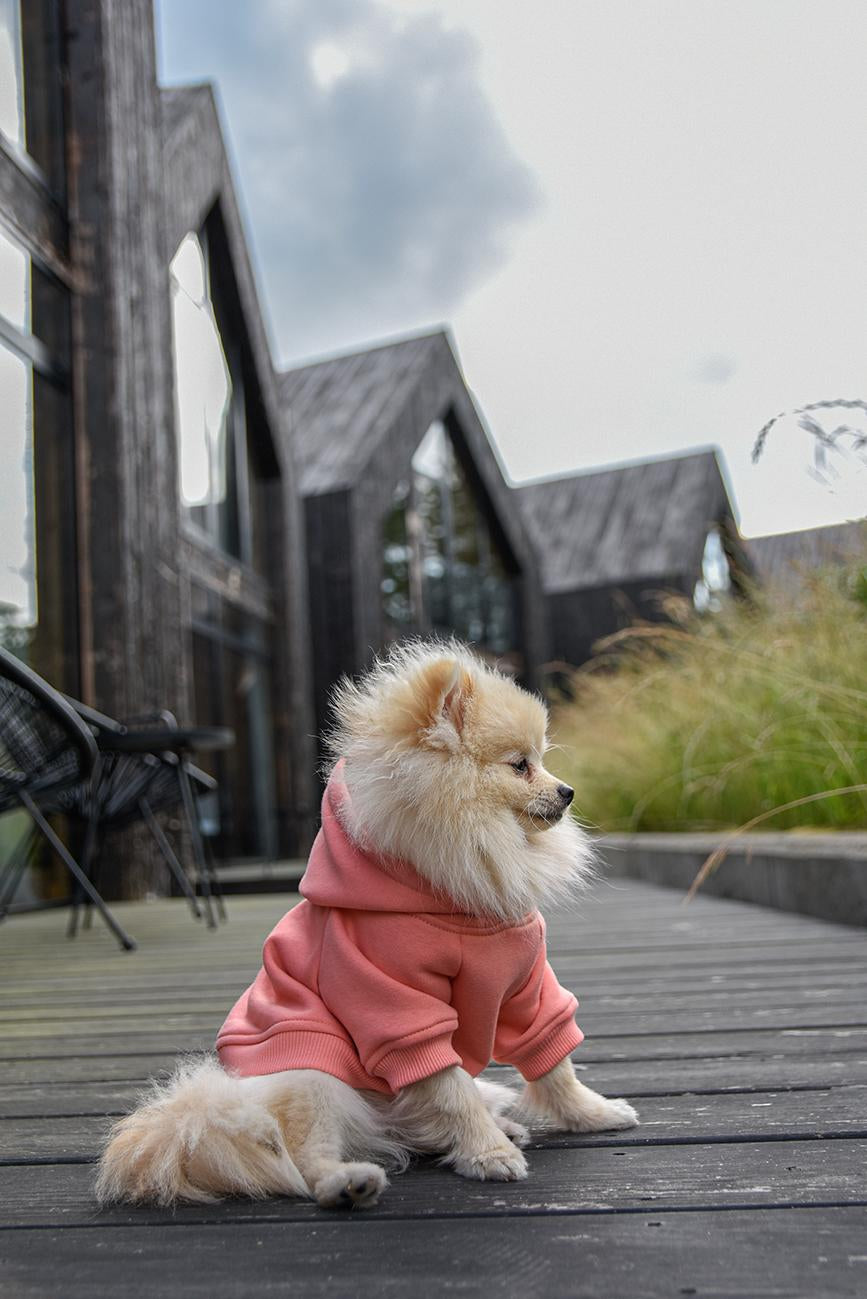 PEACH PINK MIKINA PRO PSA HICHIC Doggie
