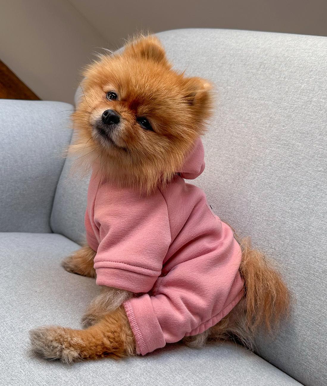 RŮŽOVÝ OVERAL PRO PSA S KAPUCÍ HICHIC Hoodie DOGverall