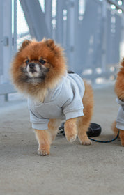MIKINA PRO PSA HICHIC Doggie