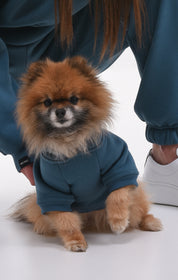MODRÁ MIKINA PRO PSA HICHIC Doggie