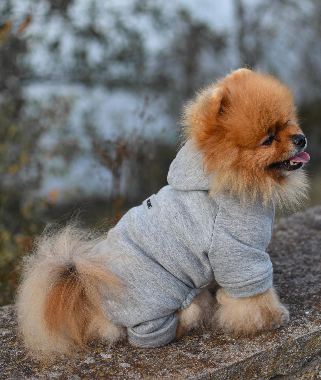 dog winter dress Dog Sweater Dog Winter Clothes for Small Dogs Boy Girl Fall Puppy Dress Warm