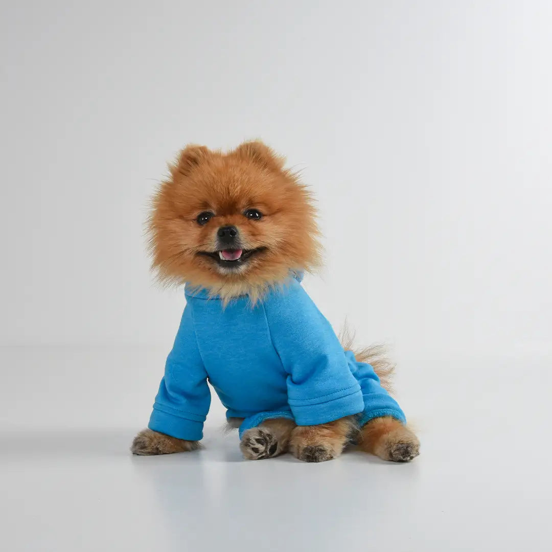 hoodie_dogverall_blue-1.webp