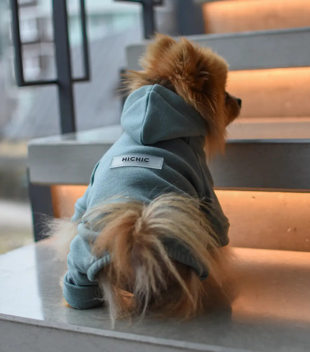 hoodie_dogverall_green.webp