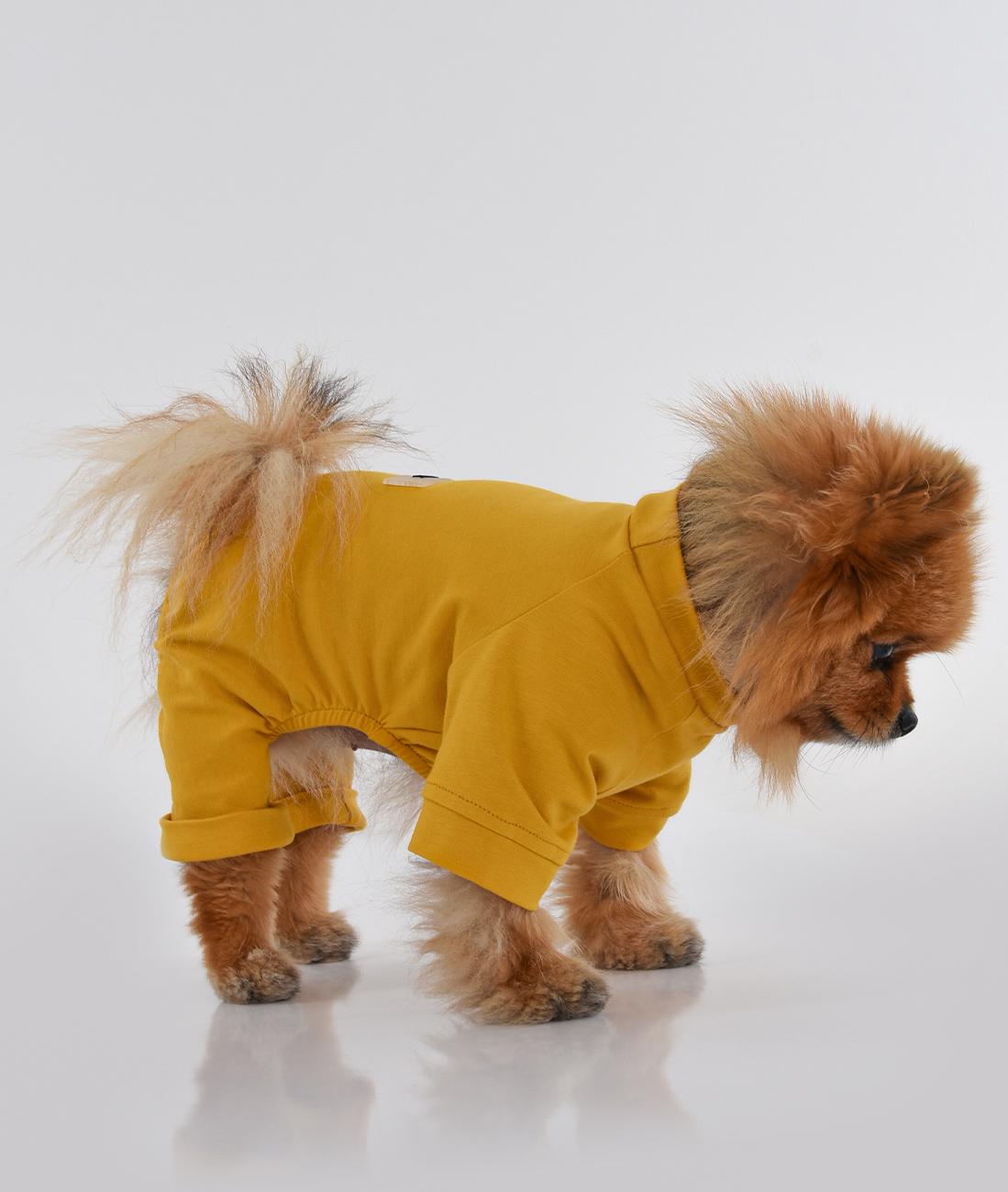 DOG OUTFIT HICHIC DOGoverall yellow