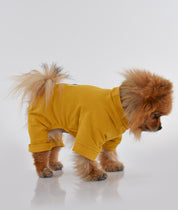 DOG OUTFIT HICHIC DOGoverall yellow