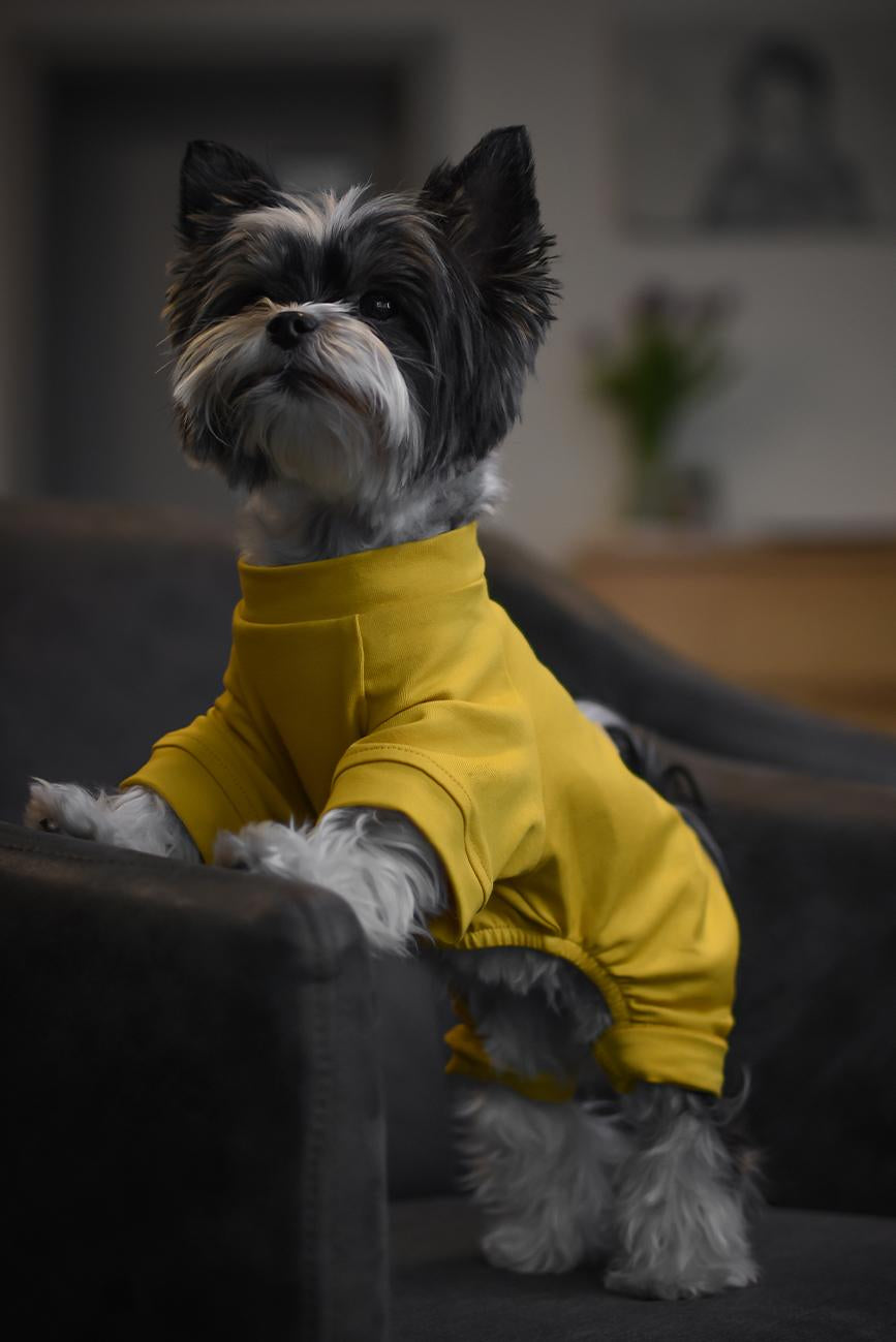 DOG OUTFIT HICHIC DOGoverall yellow