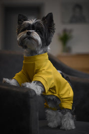 DOG OUTFIT HICHIC DOGoverall yellow