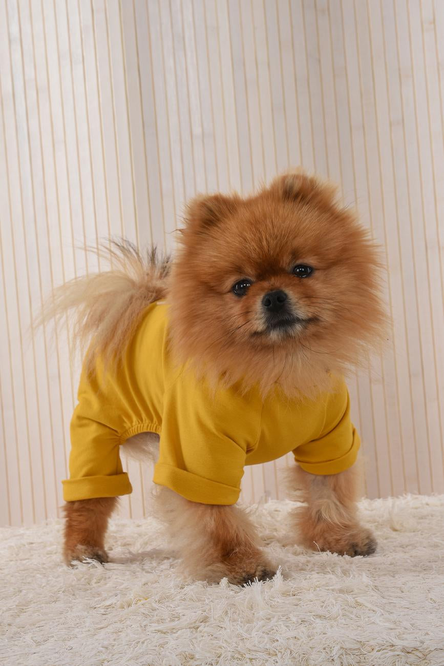 DOG OUTFIT HICHIC DOGoverall yellow