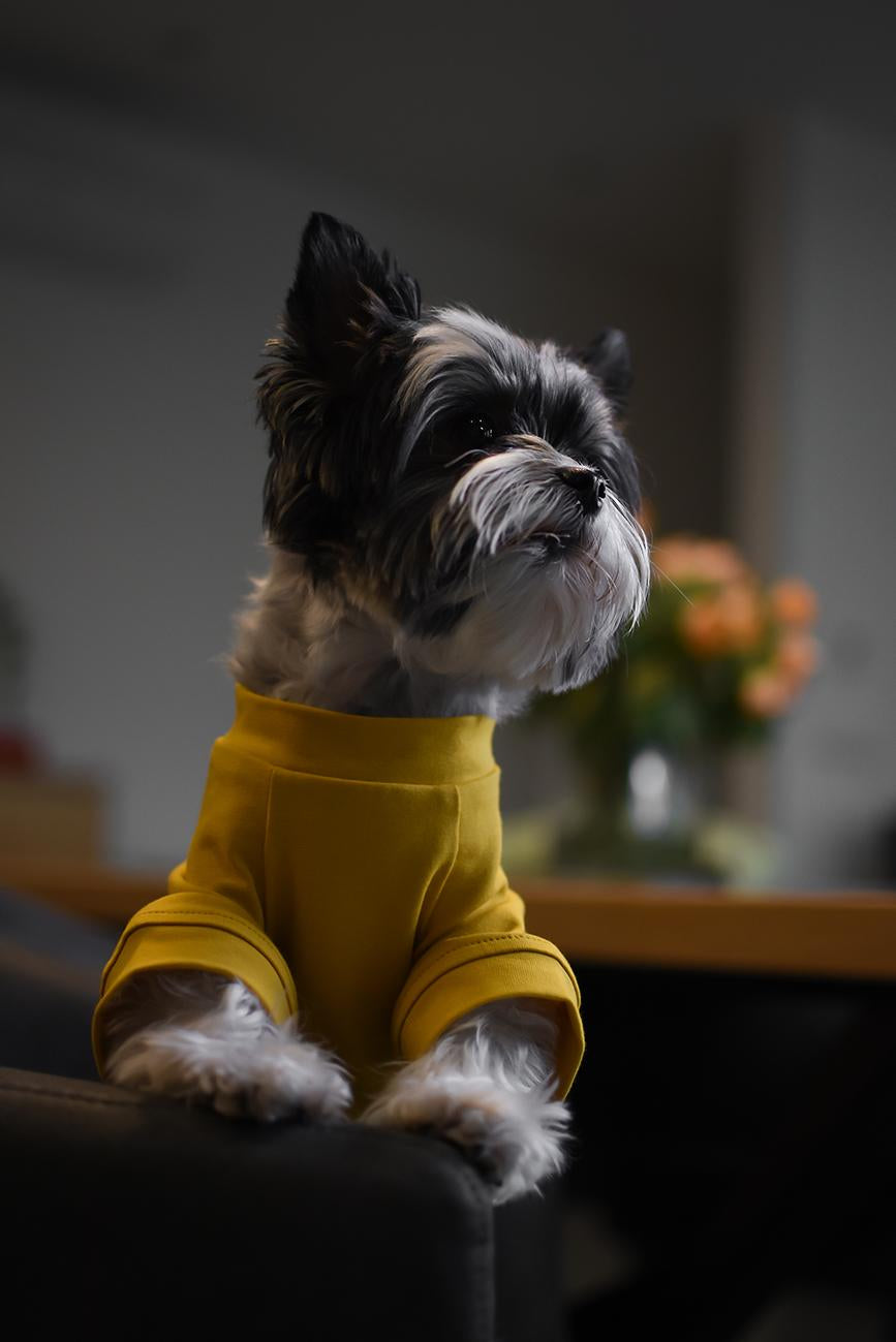 DOG OUTFIT HICHIC DOGoverall yellow