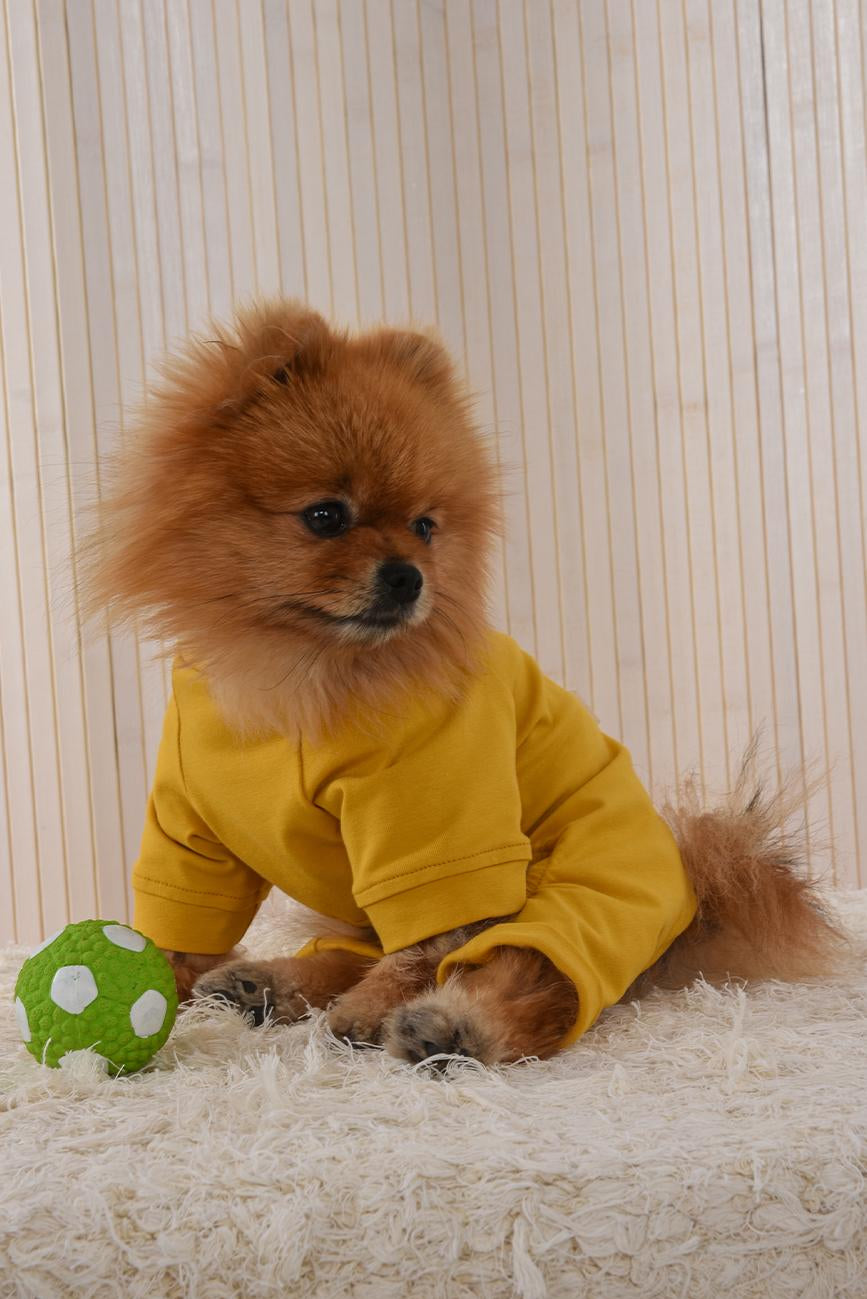 DOG OUTFIT HICHIC DOGoverall yellow