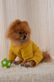 DOG OUTFIT HICHIC DOGoverall yellow