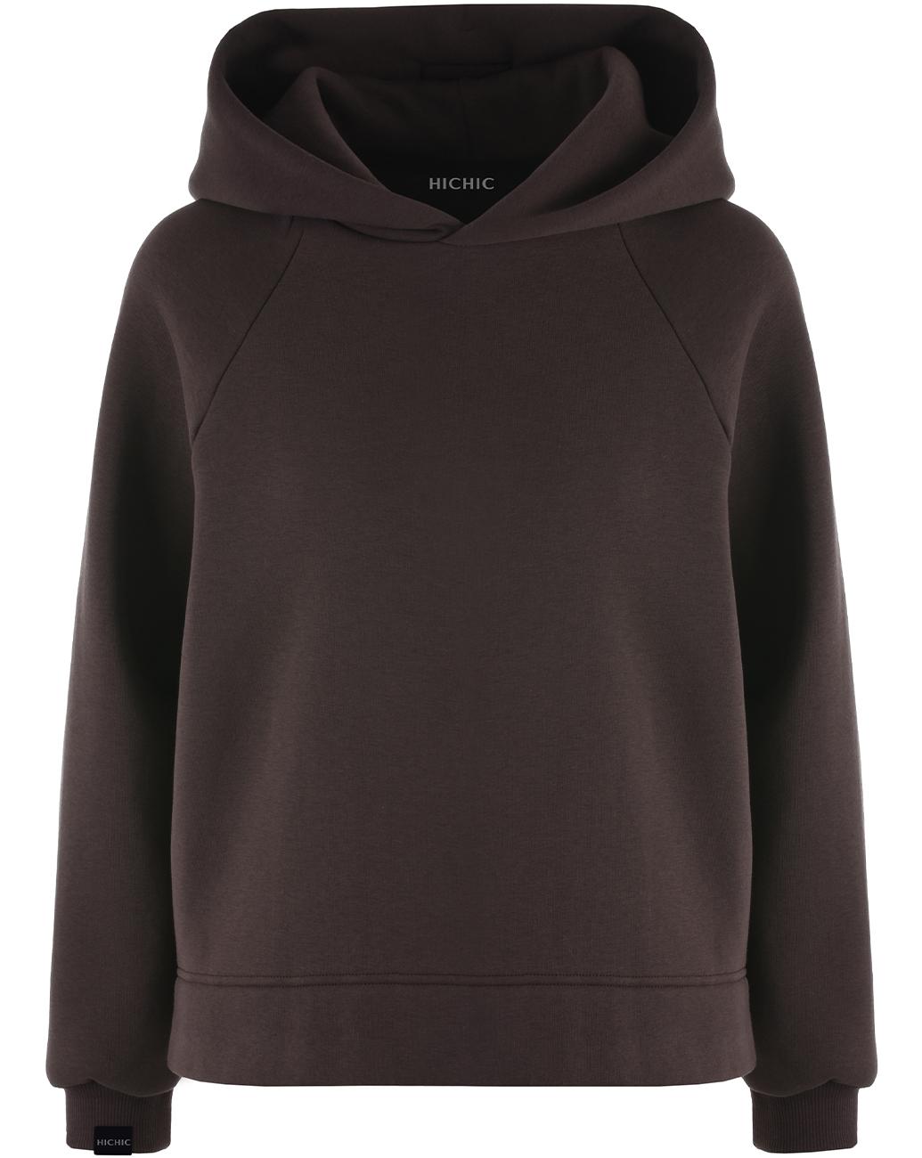 HNĚDÁ MIKINA S KAPUCÍ HICHIC BeGandalf Hoodie