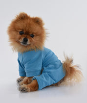 DOG OUTFIT HICHIC DOGoverall blue