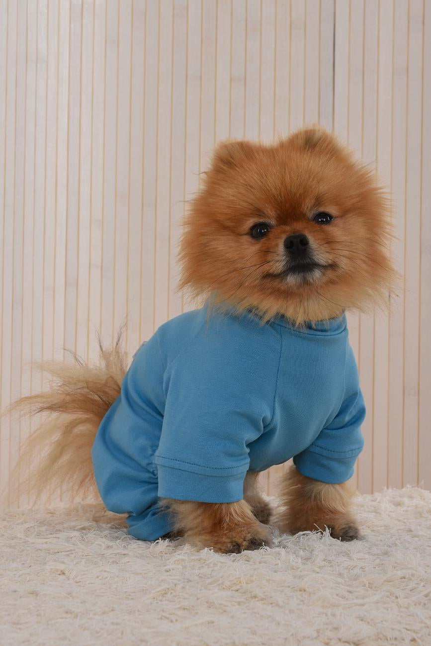 DOG OUTFIT HICHIC DOGoverall blue