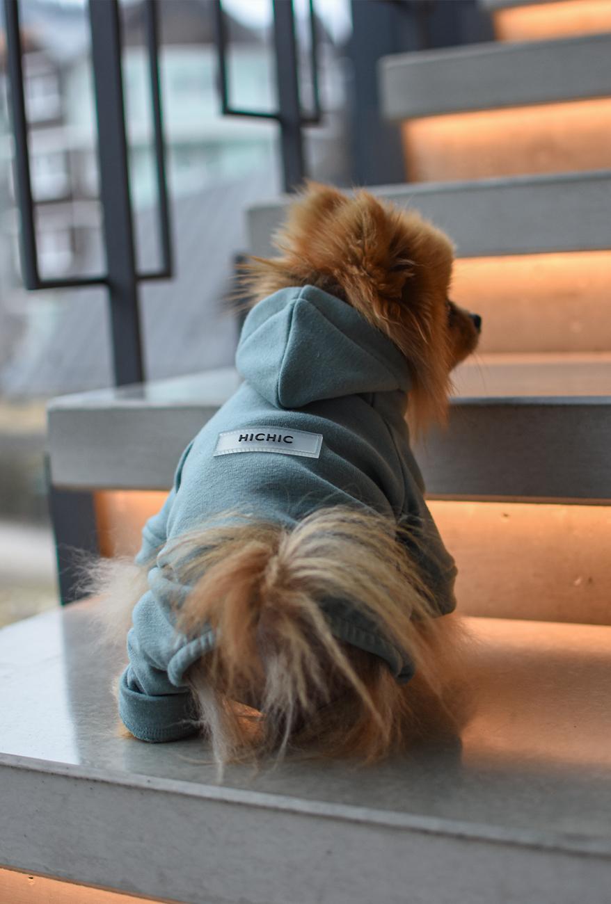 GREEN HOODED DOG OVERALL Hoodie DOGoverall