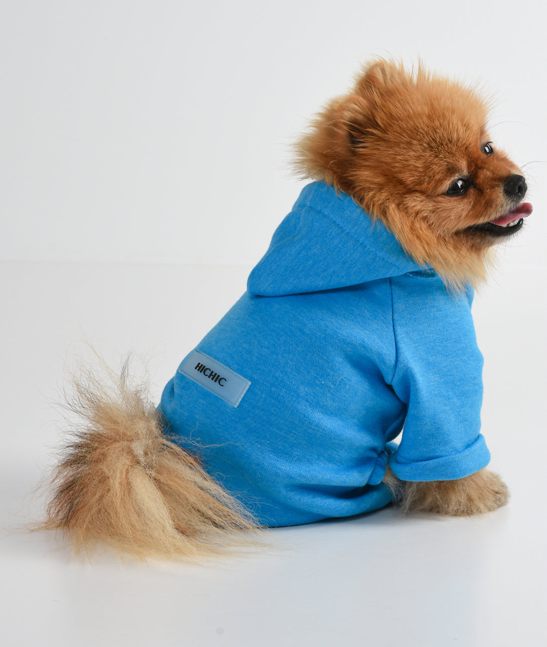 BLUE DOG OVERALL WITH HOOD HICHIC Hoodie DOGoverall