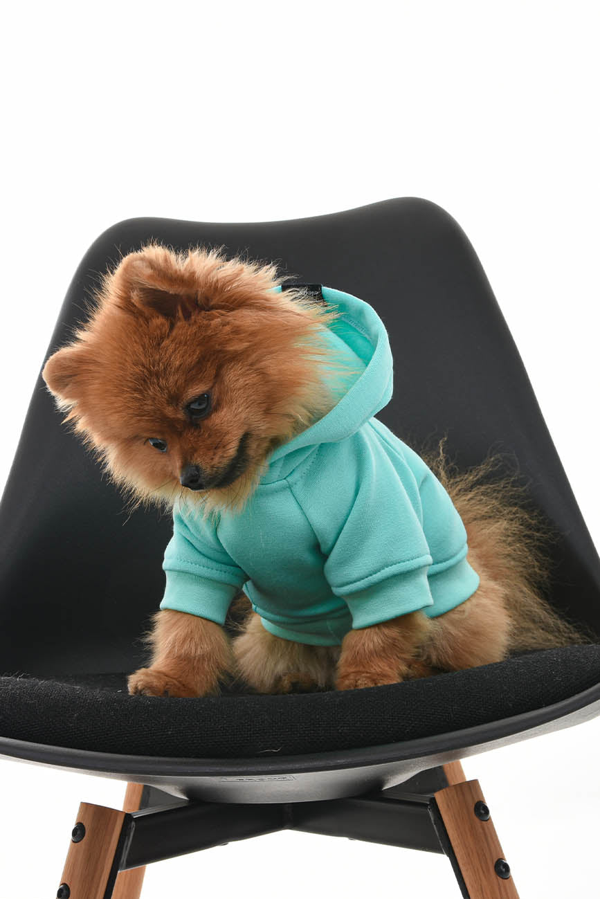 WARM SWEATSHIRT FOR DOGS pistachio HICHIC