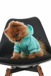 WARM SWEATSHIRT FOR DOGS pistachio HICHIC
