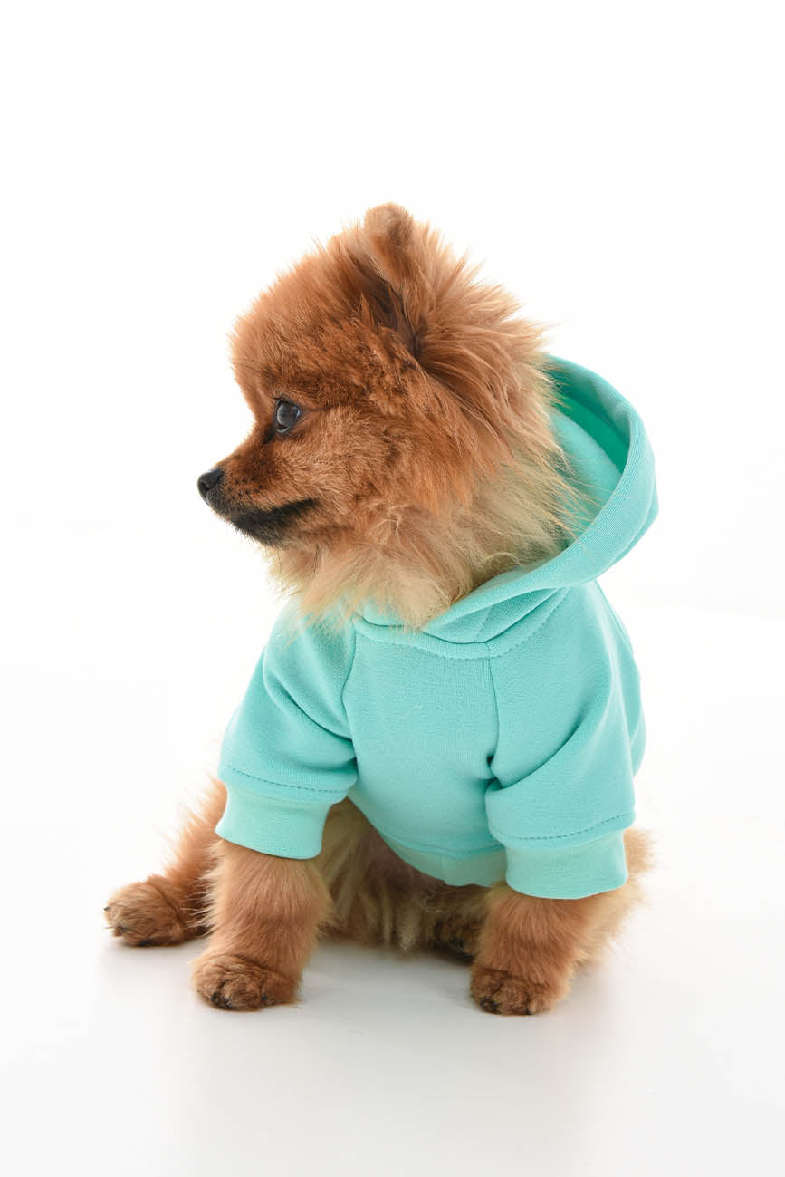 WARM SWEATSHIRT FOR DOGS pistachio HICHIC