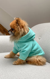 WARM SWEATSHIRT FOR DOGS pistachio HICHIC