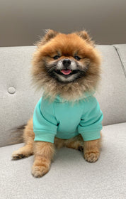 WARM SWEATSHIRT FOR DOGS pistachio HICHIC