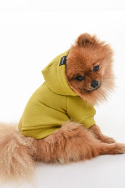 SWEATSHIRT FOR DOGS GOLDEN OLIVE HICHIC Doggie
