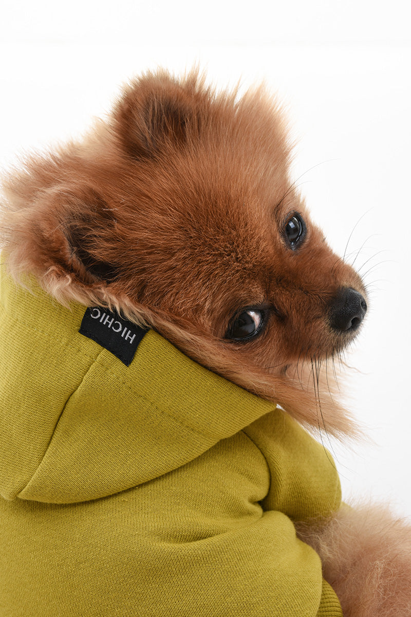 SWEATSHIRT FOR DOGS GOLDEN OLIVE HICHIC Doggie