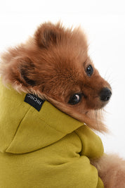SWEATSHIRT FOR DOGS GOLDEN OLIVE HICHIC Doggie