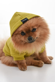 SWEATSHIRT FOR DOGS GOLDEN OLIVE HICHIC Doggie